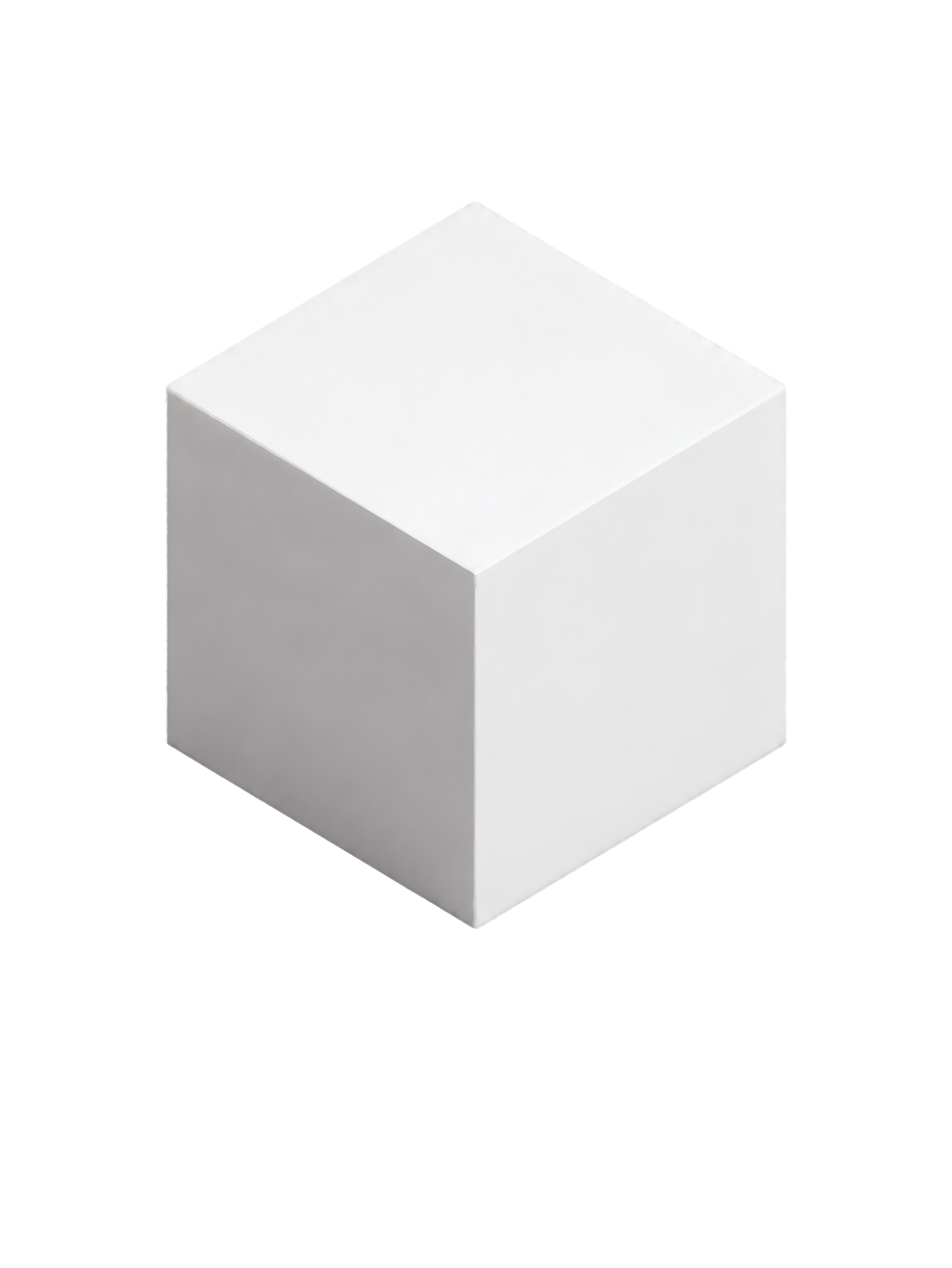NO.10 THE VOXEL