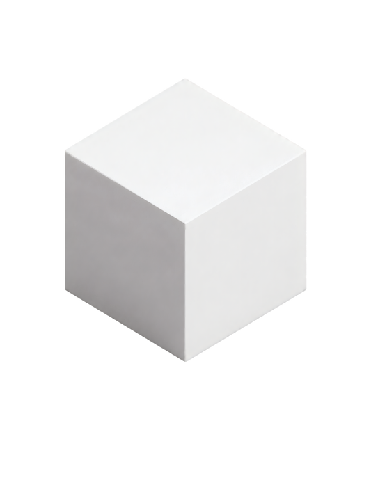 NO.10 THE VOXEL